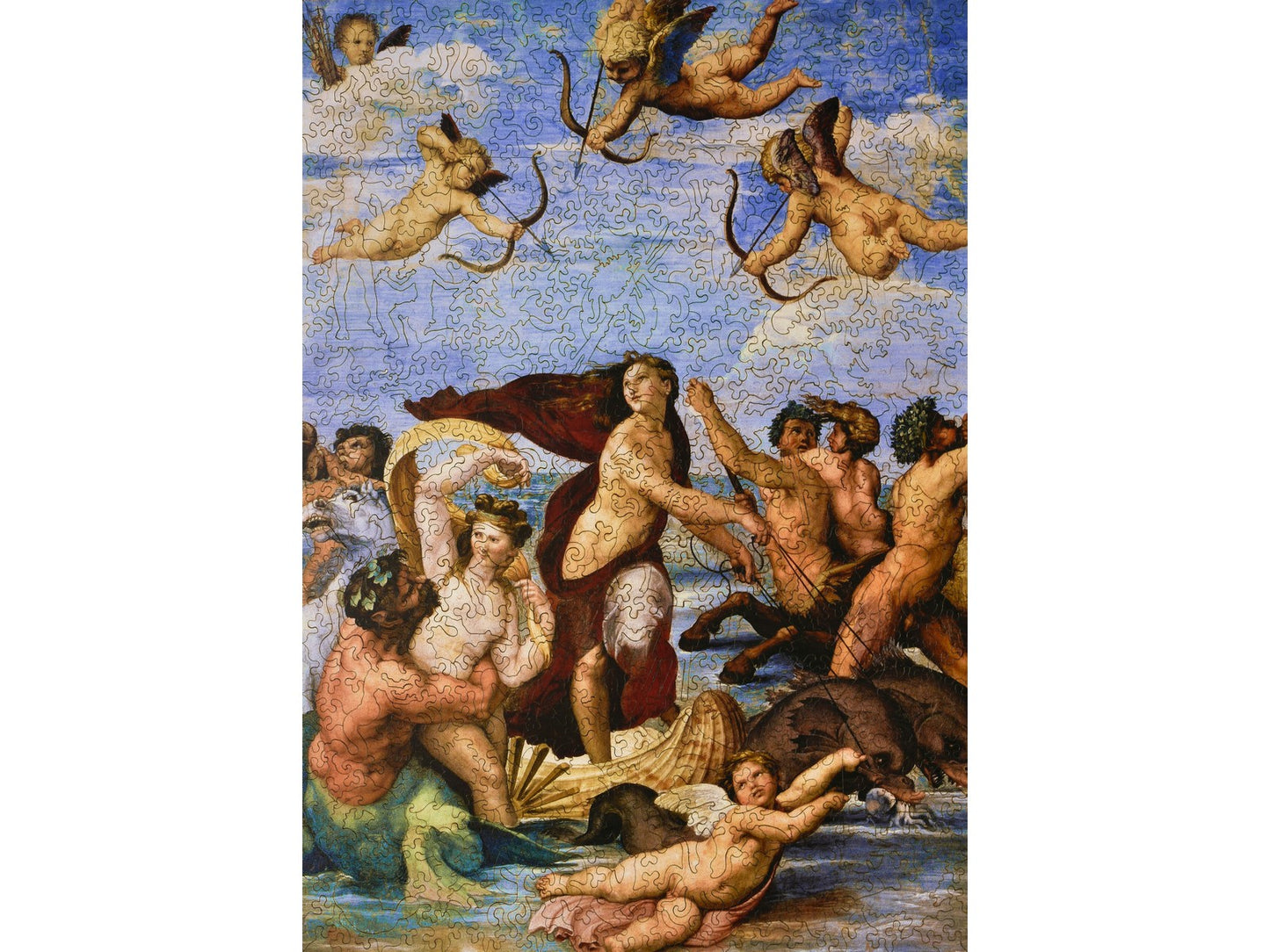 The front of the puzzle, The Triumph of Galatea.