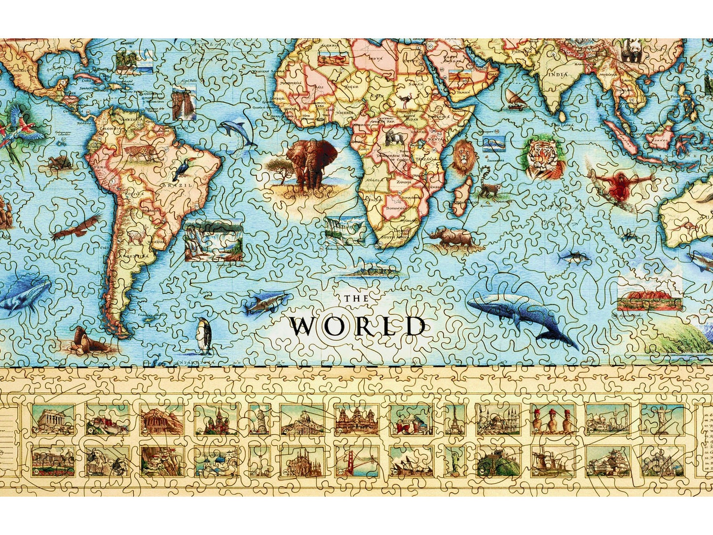 A closeup of the front of the puzzle, The World Map.